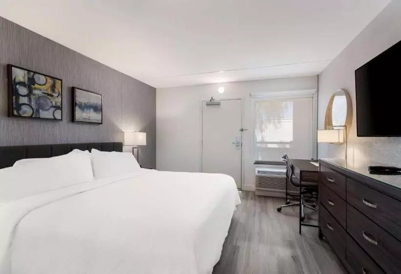 هتل Revival Scottsdale Studios