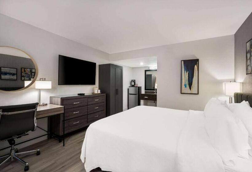 בית מלון כפרי Revival Scottsdale Studios