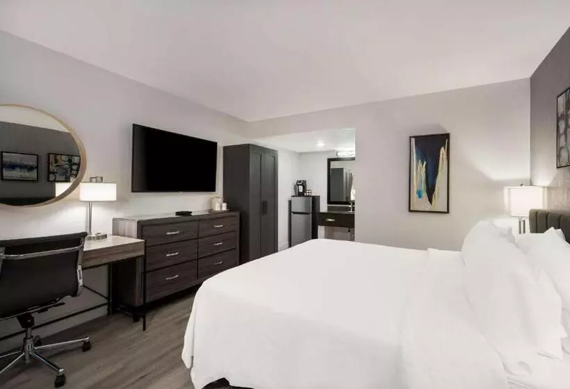 هتل Revival Scottsdale Studios