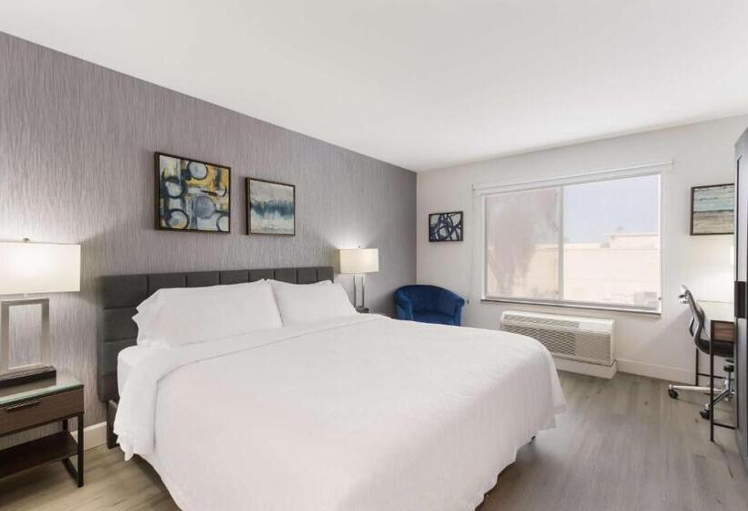 בית מלון כפרי Revival Scottsdale Studios