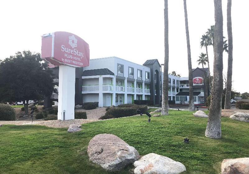 בית מלון כפרי Revival Scottsdale Studios