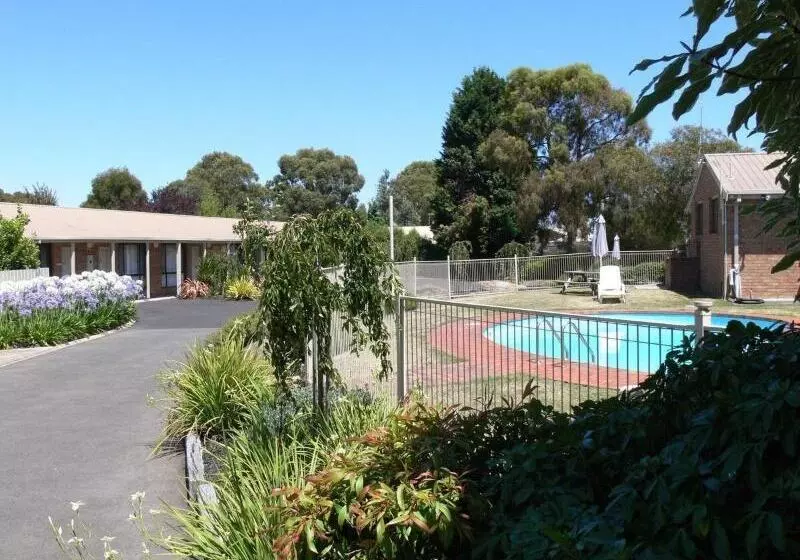 ホテル Begonia City Motor Inn