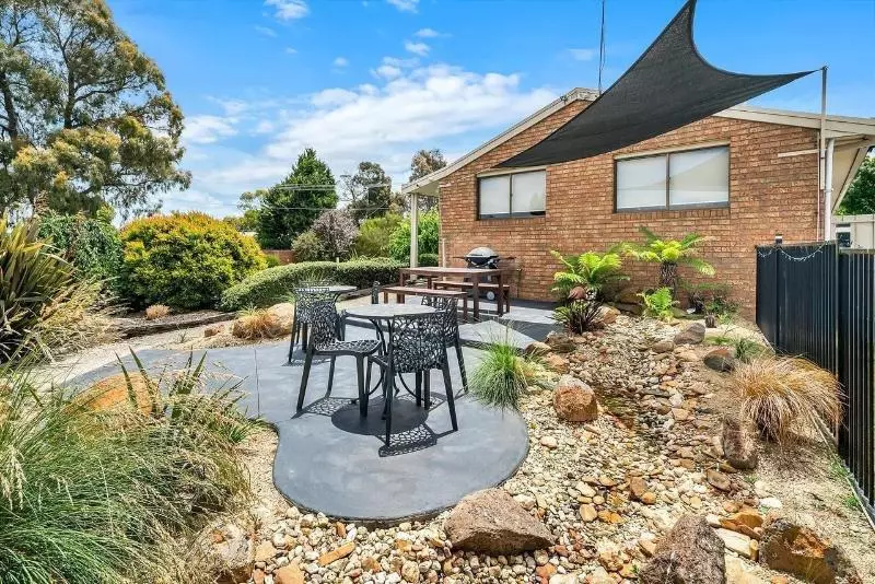 ホテル Begonia City Motor Inn