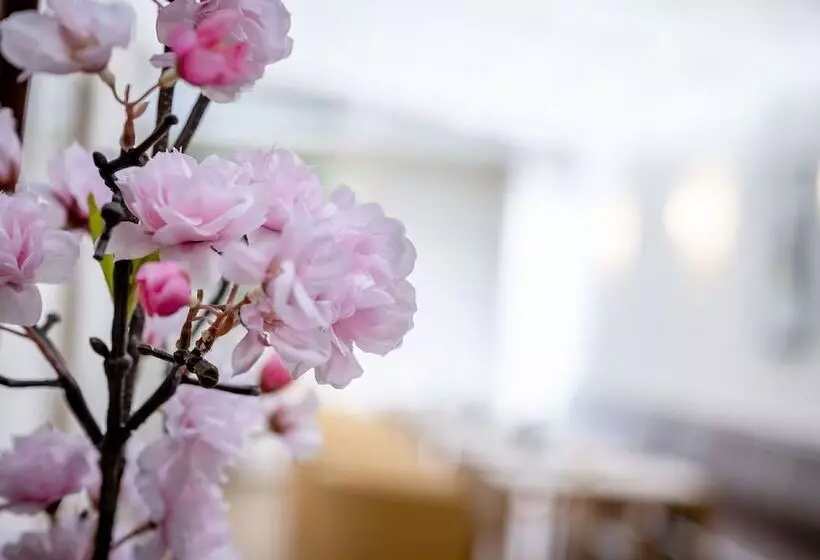 Boutique Hotel Hauser