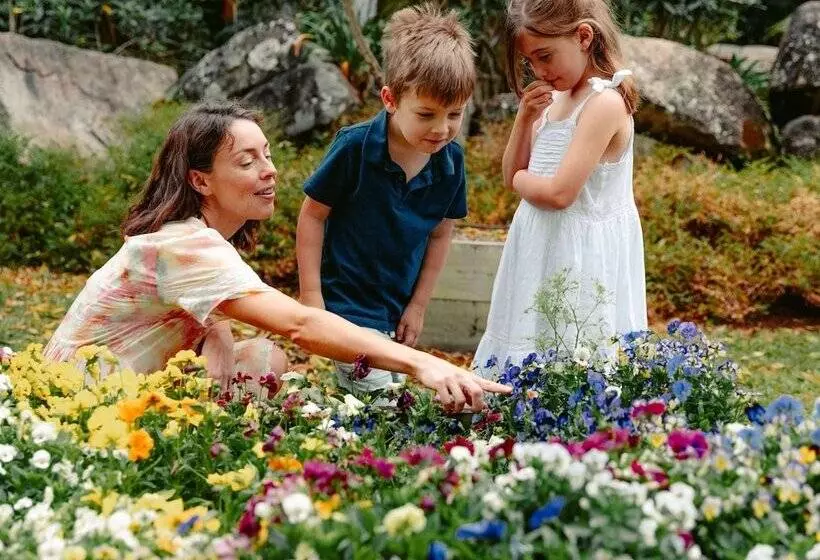 Mercure Gold Coast Resort