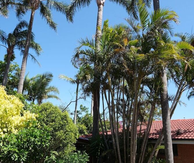 Sapphire Palms Motel