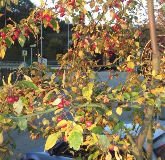 Donau Rad Hotel Wachauerhof