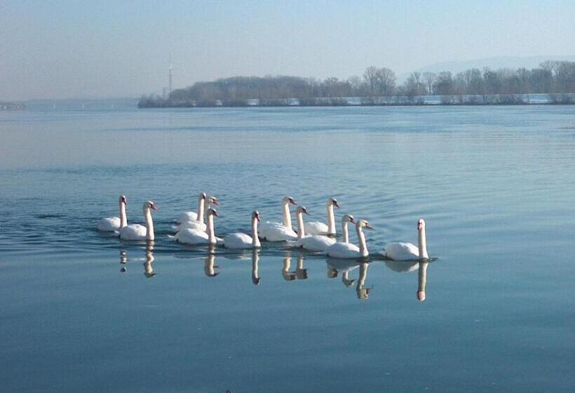 Donau Rad Hotel Wachauerhof