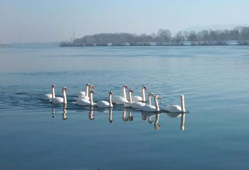 Donau Rad Hotel Wachauerhof