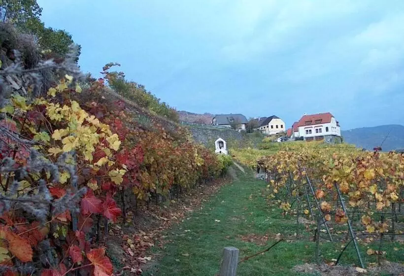 Donau Rad Hotel Wachauerhof