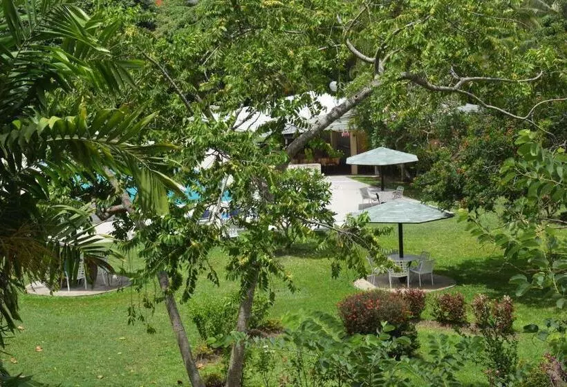 Golden View Apartment