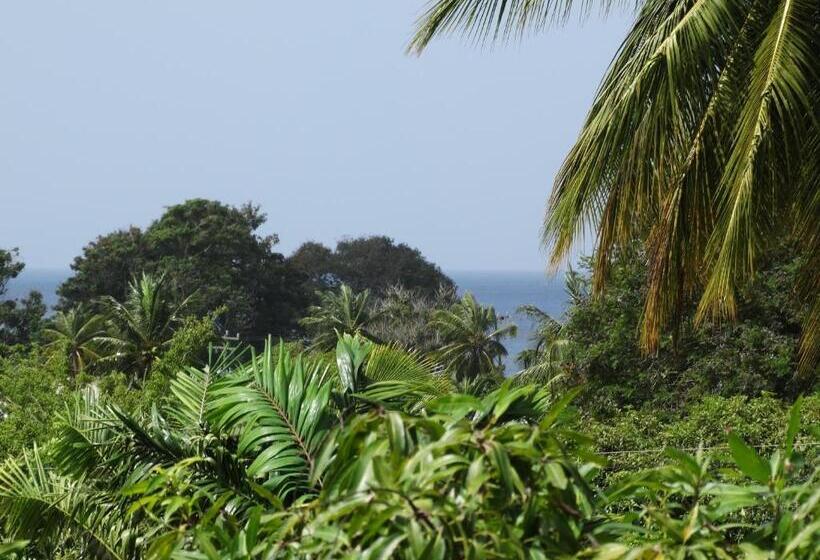 Golden View Apartment