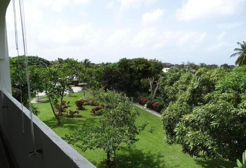 Golden View Apartment