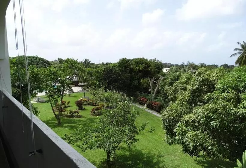 Golden View Apartment