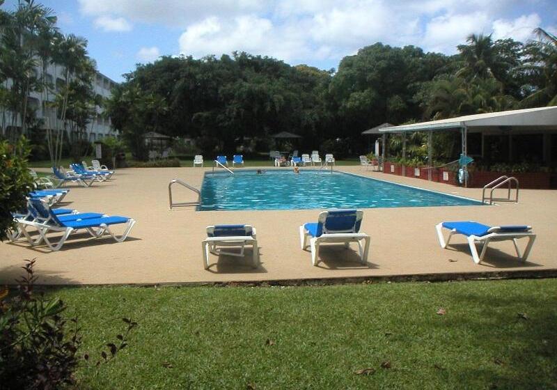 Golden View Apartment