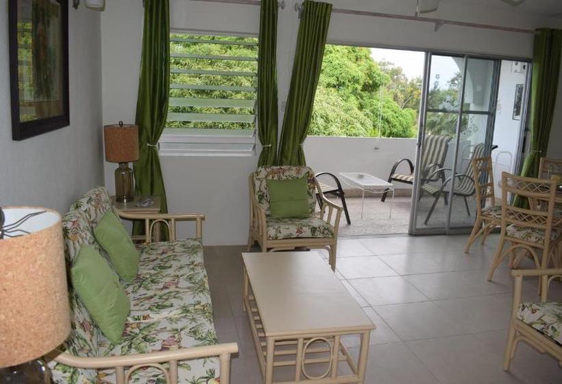 Golden View Apartment