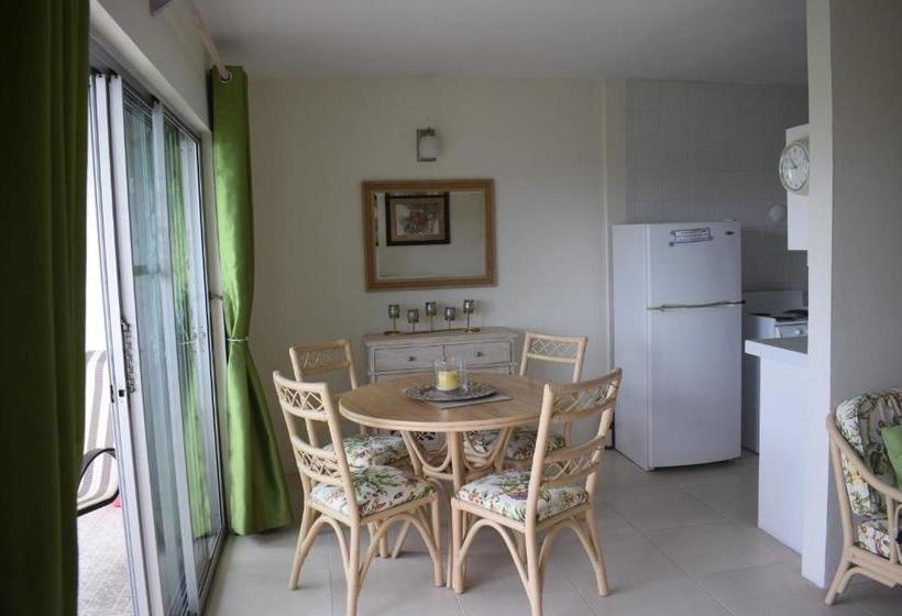 Golden View Apartment