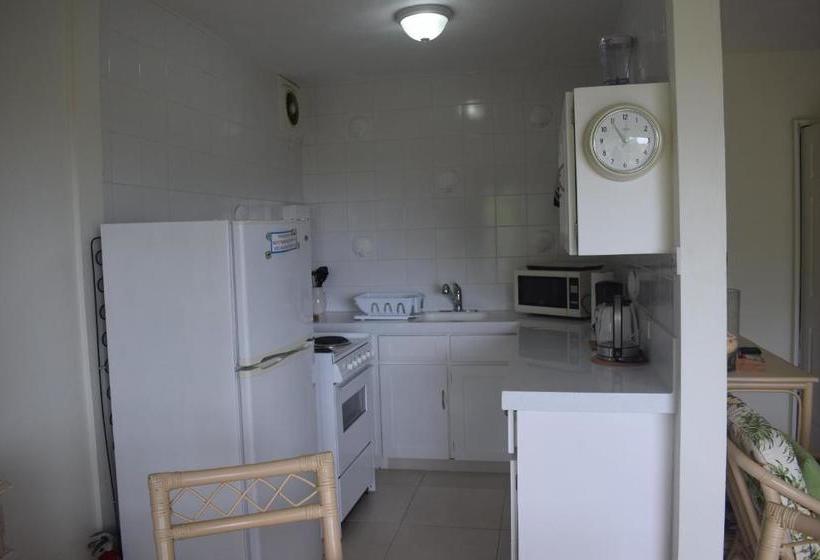 Golden View Apartment