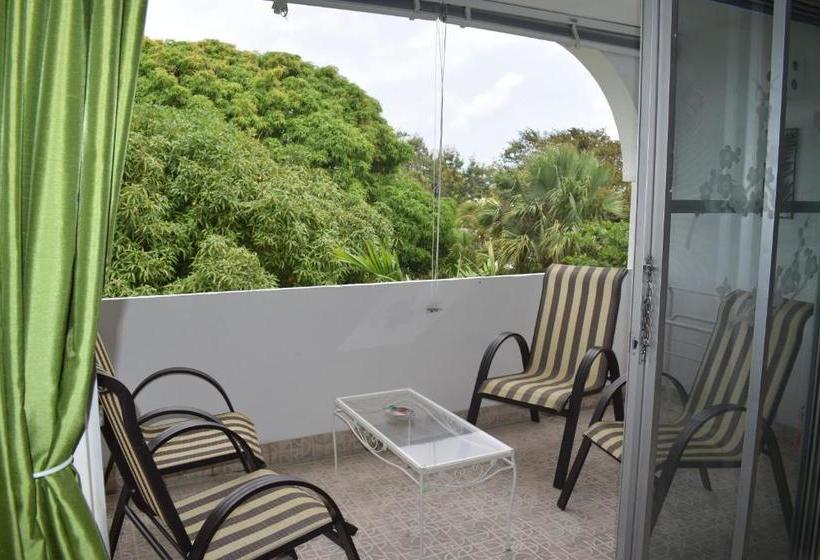 Golden View Apartment