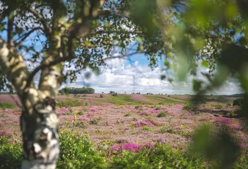 Отель Moorhill House Bed & Breakfast