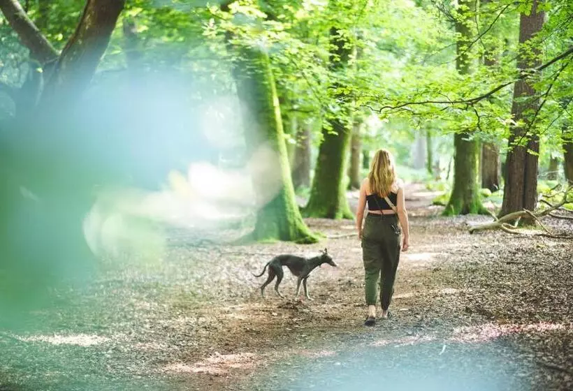 Отель Moorhill House Bed & Breakfast