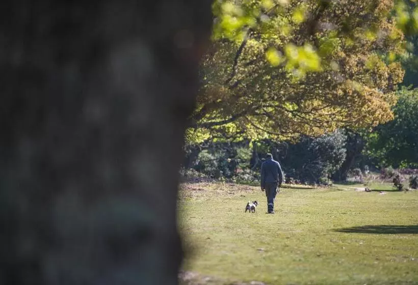 Отель Moorhill House Bed & Breakfast