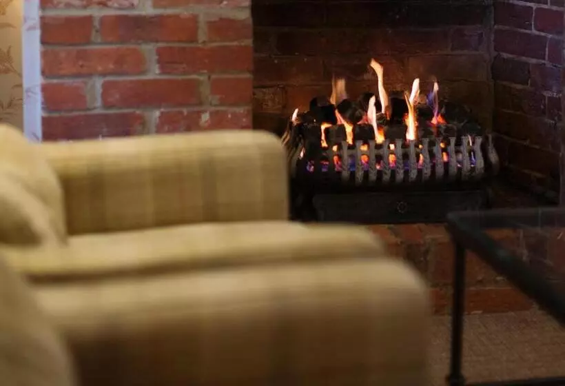 Отель Moorhill House Bed & Breakfast