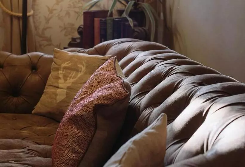 Отель Moorhill House Bed & Breakfast