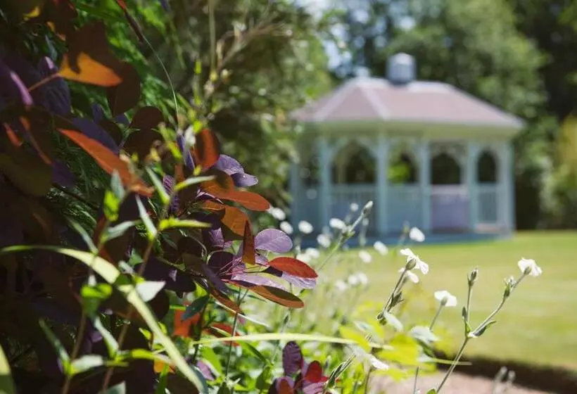 Отель Moorhill House Bed & Breakfast