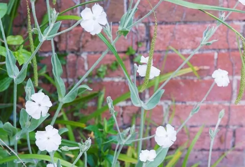 Отель Moorhill House Bed & Breakfast