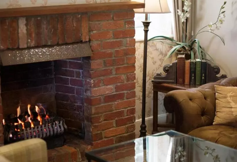 Отель Moorhill House Bed & Breakfast