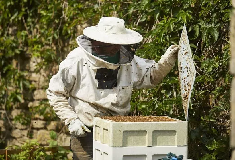 Отель The Methuen Arms