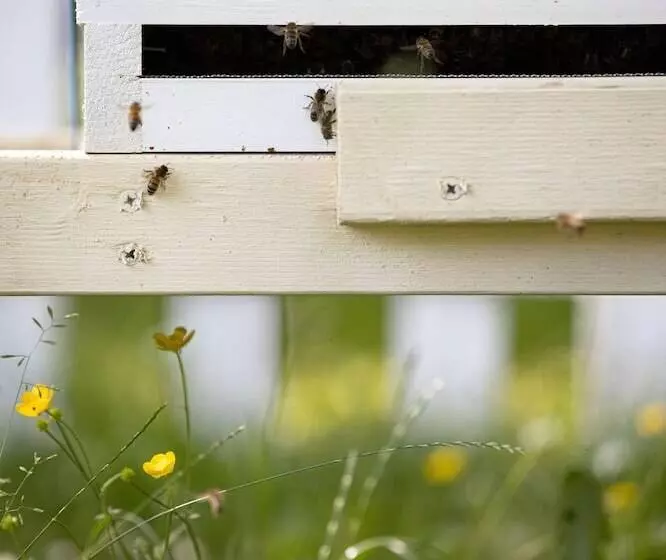 בית מלון כפרי Voco Oxford Thames, An Ihg