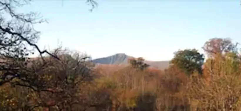 Peterstone Court Country House Restaurant & Spa