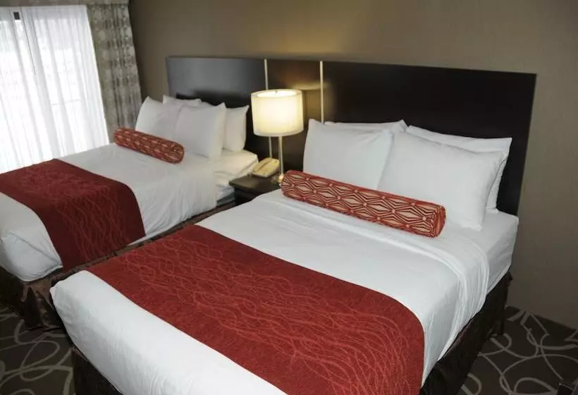 ホテル Admiral Inn Burlington