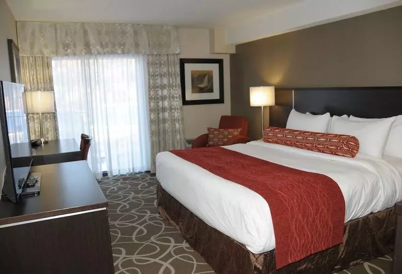 ホテル Admiral Inn Burlington