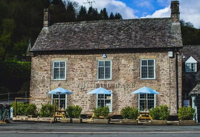 Отель The Wild Hare