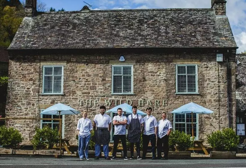 Отель The Wild Hare