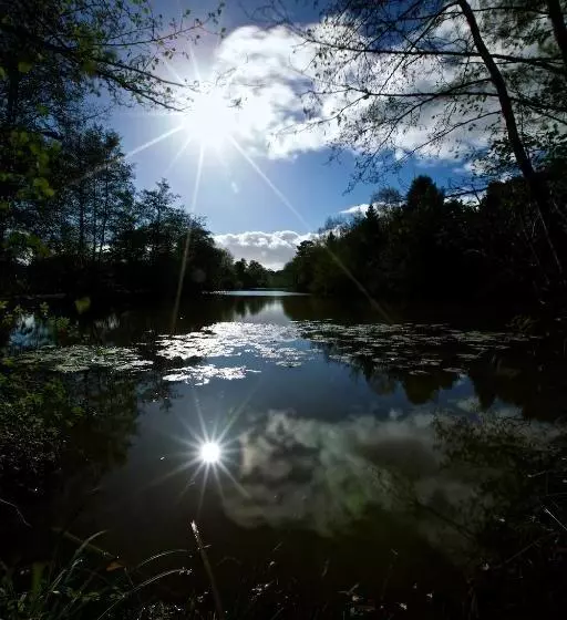 Отель The Wild Hare