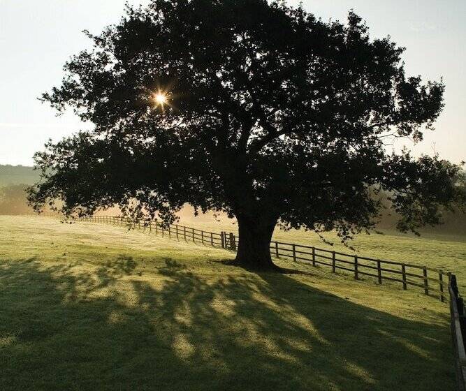 Wood Hall Hotel & Spa