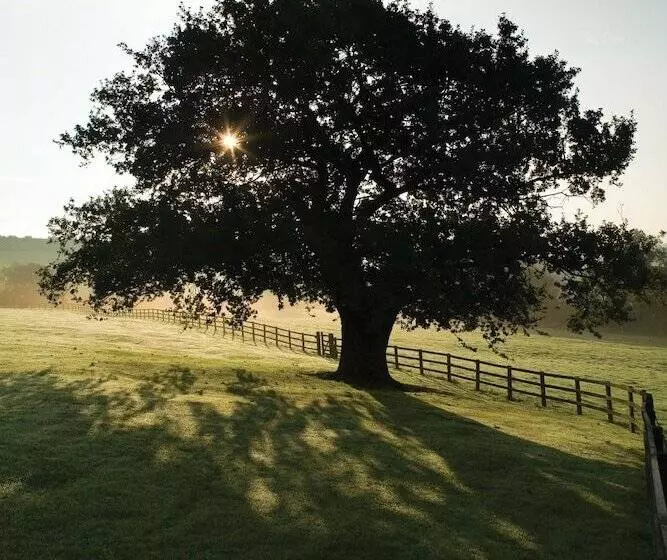 Wood Hall Hotel & Spa