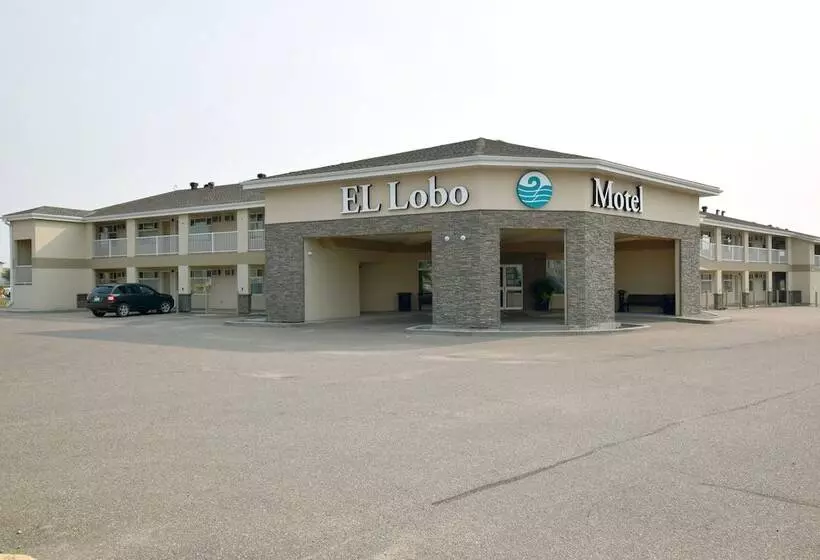 El Lobo Motel