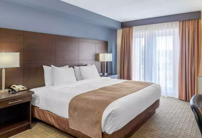 호텔 Quality Inn & Suites