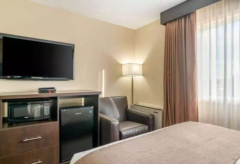 호텔 Quality Inn & Suites