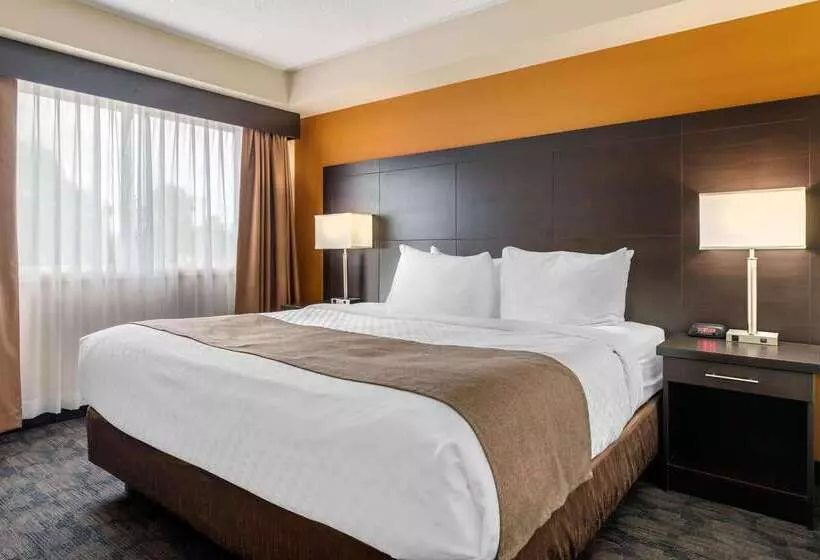 호텔 Quality Inn & Suites