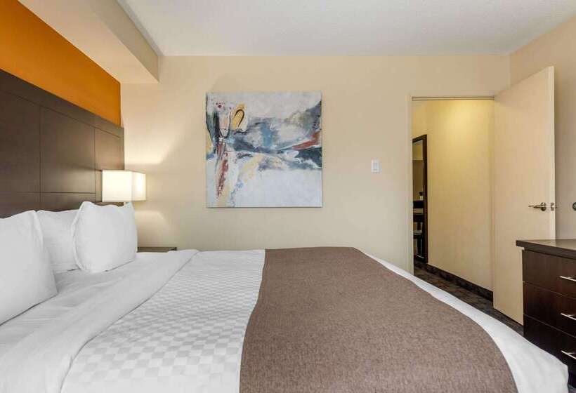 هتل Quality Inn & Suites