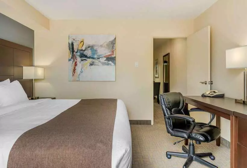 호텔 Quality Inn & Suites