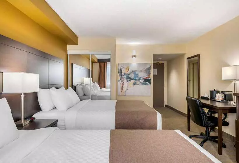 호텔 Quality Inn & Suites