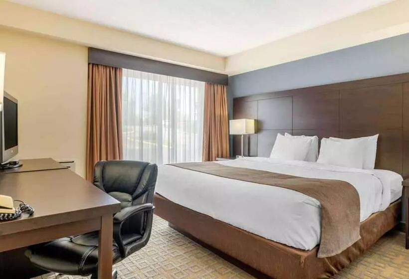 호텔 Quality Inn & Suites
