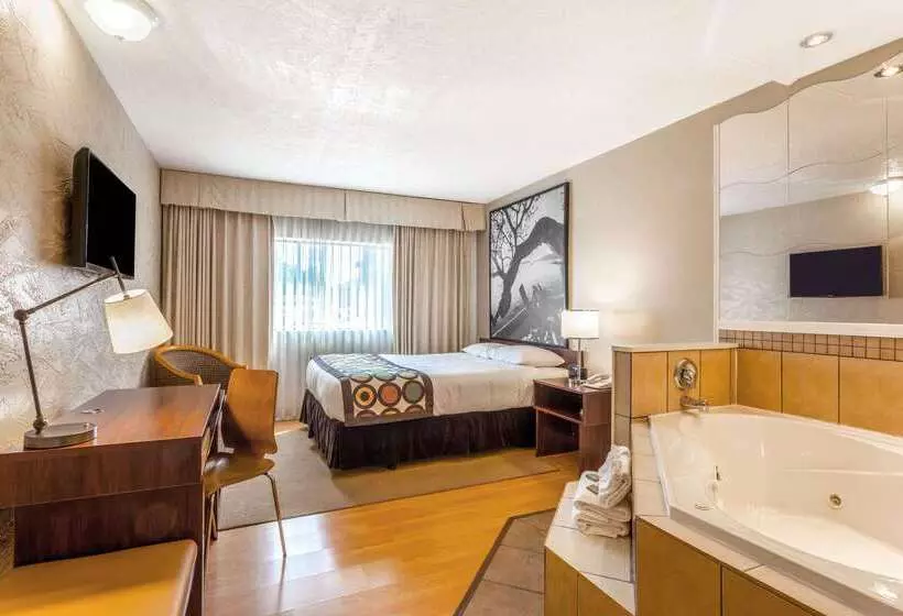 호텔 Super 8 By Wyndham Duncan